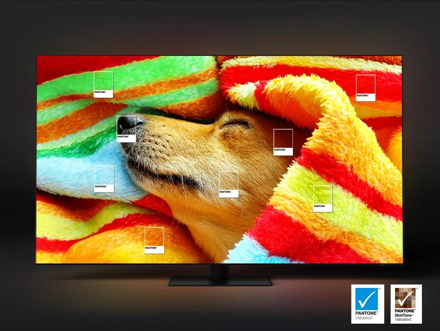 TV QLED Samsung TQ50Q80C