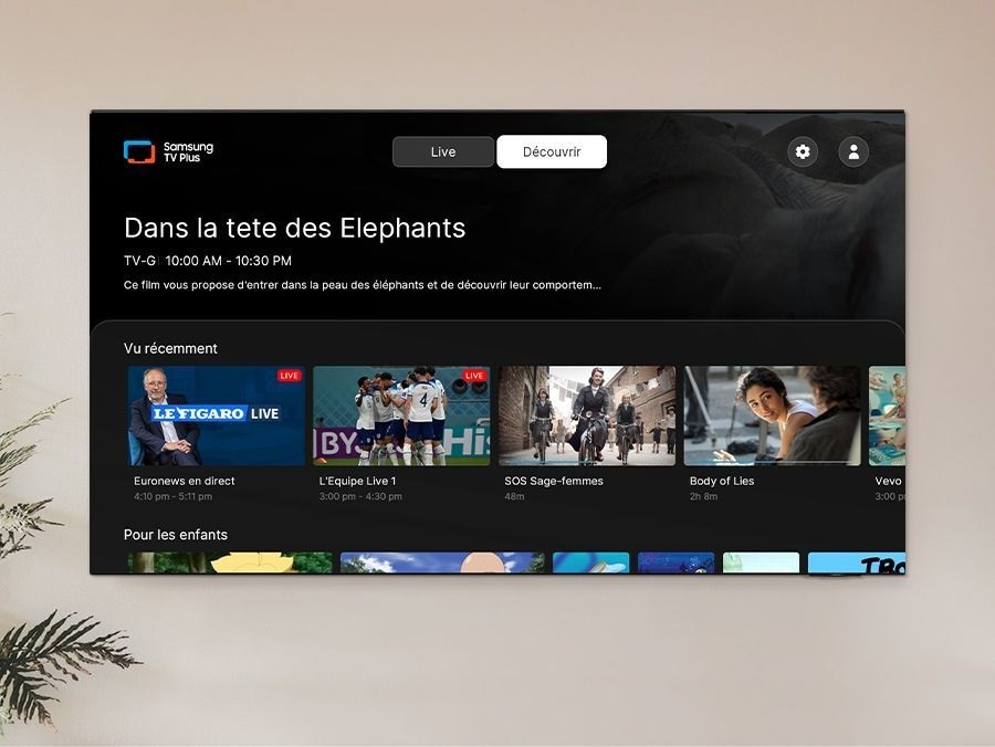 Le Samsung TQ75Q80C vous permet d'accéder à plus de 200 chaines.