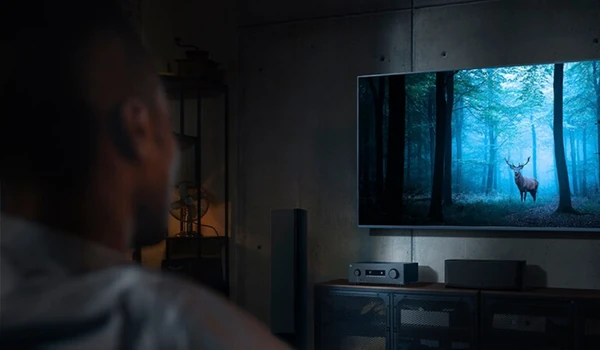 Yamaha RX500A sous un téléviseur affichant une forêt en Dolby Vision, dans un salon sombre
