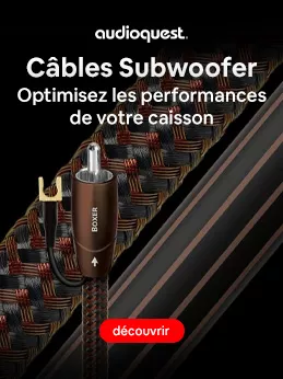 Caisson de basses sans fil